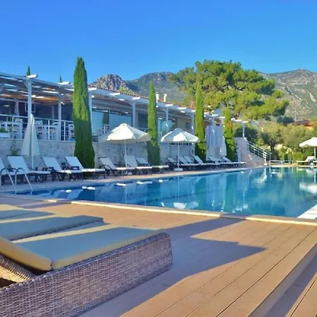 Lavanta 124 * Kalkan
