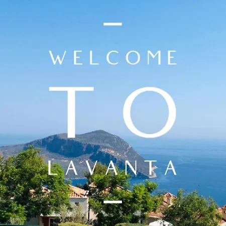 Lavanta 124 *